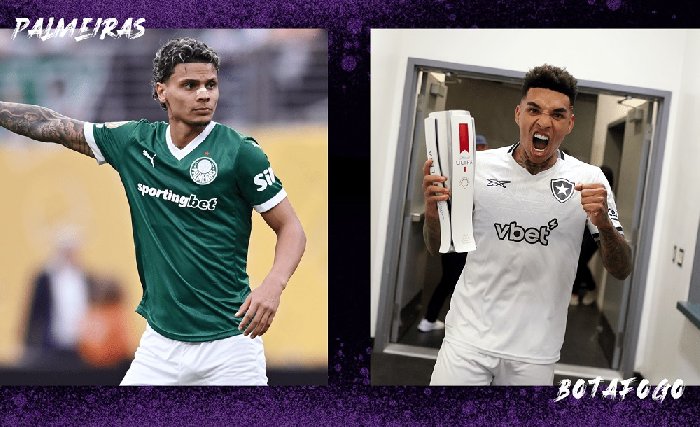 link-xem-truc-tiep-palmeiras-vs-botafogo-hom-nay-23h00-ngay-28-6_1751117969.jpg